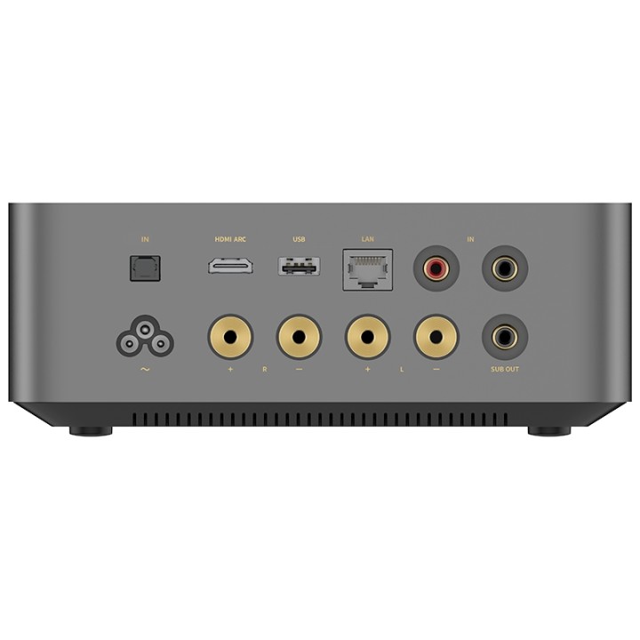 Wiim Amp Ultra